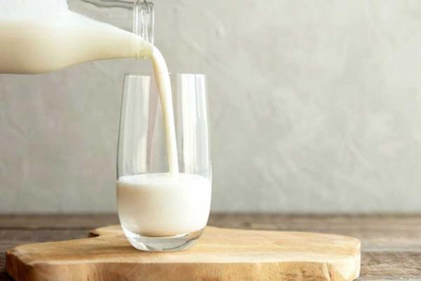 مصرف شیر عمر را کوتاه می نماید